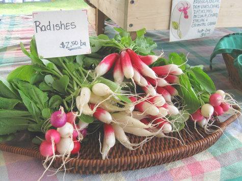 Radishes on display