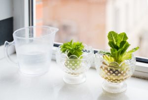 Leafy greens