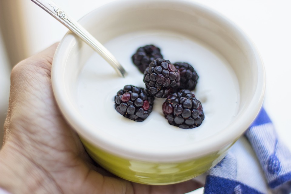 hand holding bowl of yogurt and blackberries