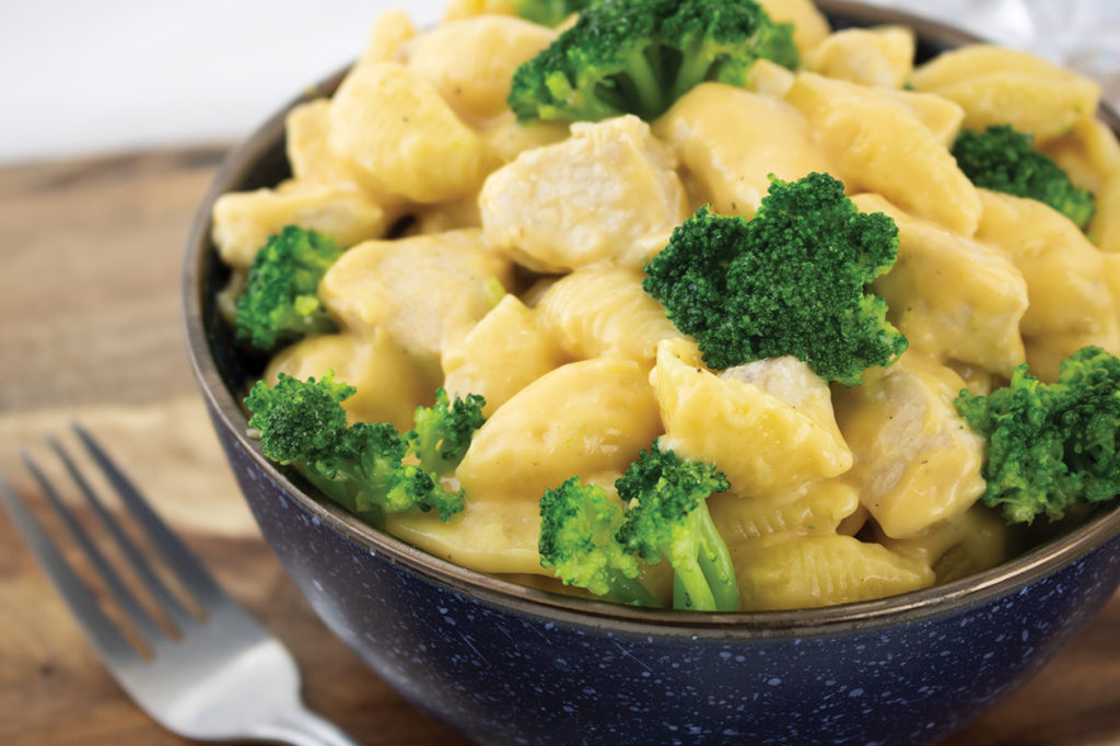 chicken broccoli shells & cheese