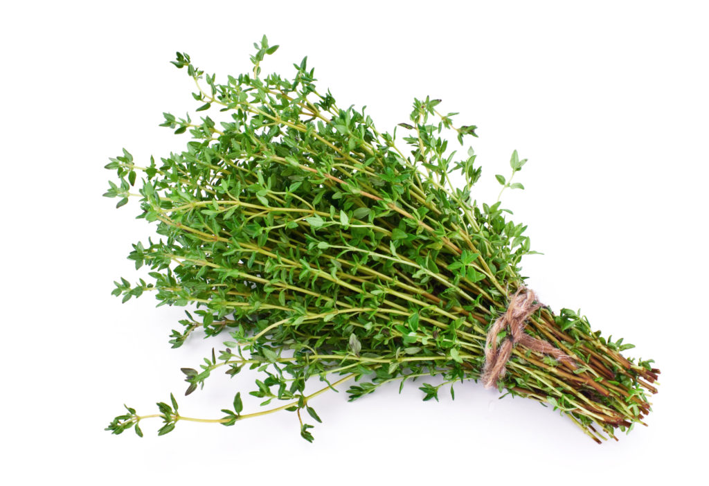 Thyme