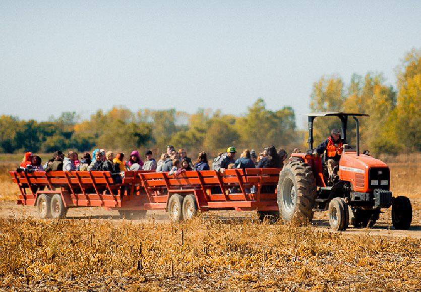 People riding in a tractor
