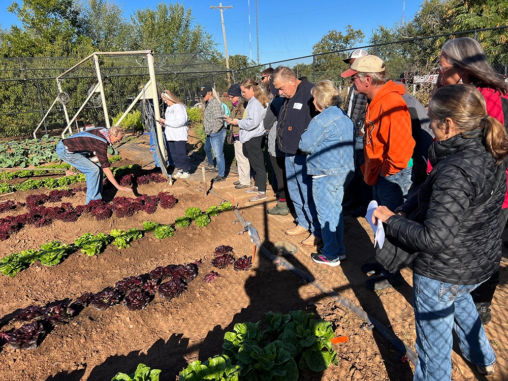 An OLAC farm tour stands along the top-right frame of the image, overlooking a vegetable garden.